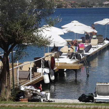 Alesta Yacht פאטהיה