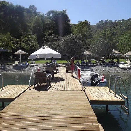 Alesta Yacht 4* פאטהיה