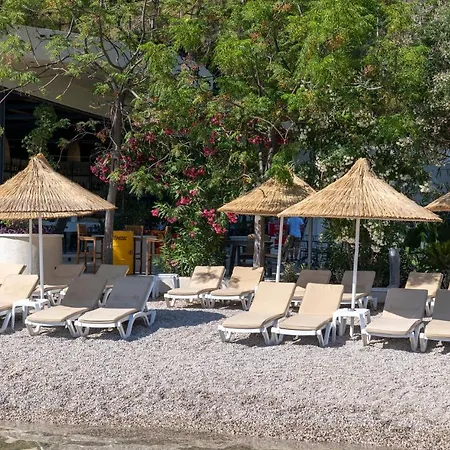 Hotel Alesta Yacht 4*