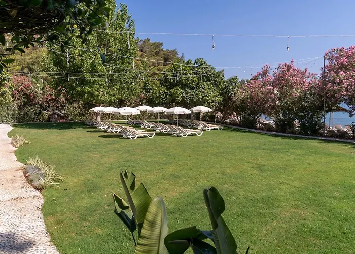 اليستا يخت 4*