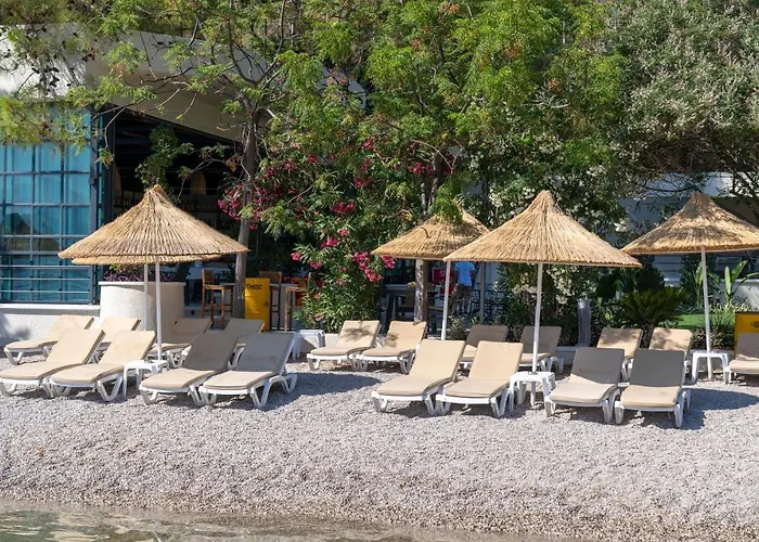 Hotel Alesta Yacht 4*